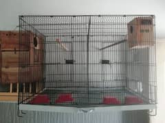 Folding Cage