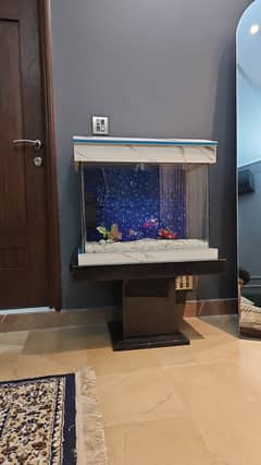 Clean and clear 2×1 feet aquarium with filter ans oxygen maker