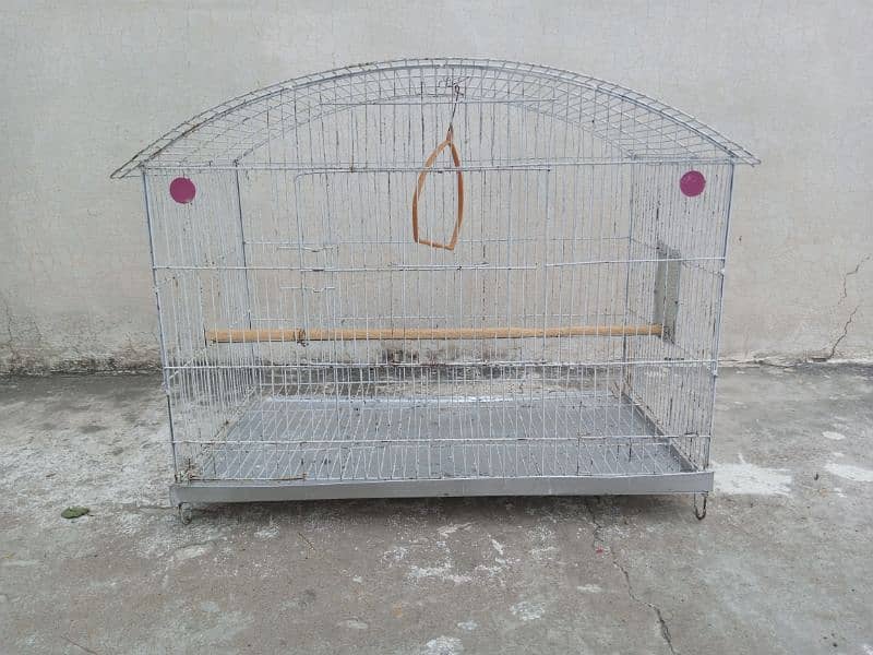 bird cage 1