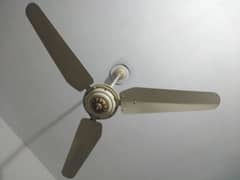 Beautiful fan for sale