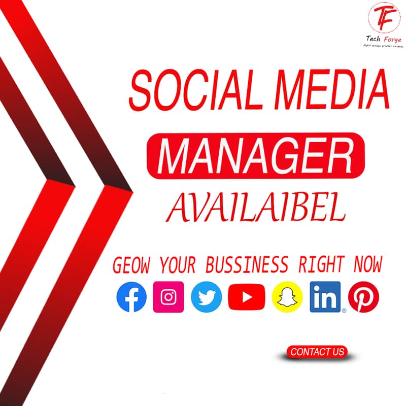 I will be your Social Media Marketing Manager 2