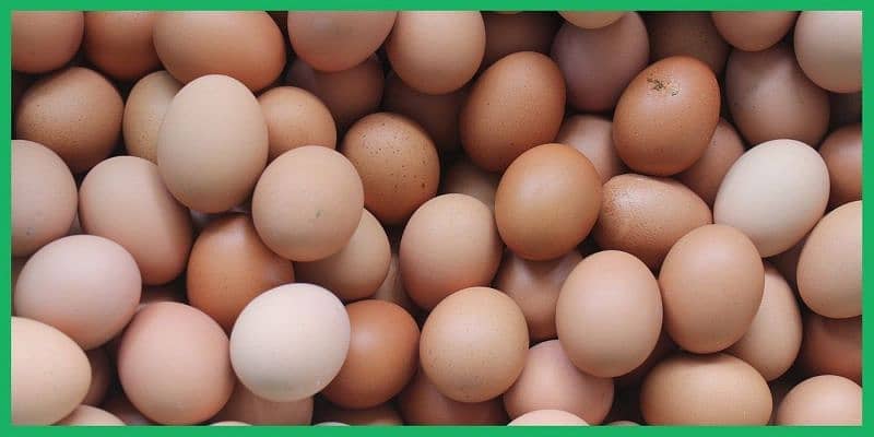 Fresh Eggs , Desi Eggs , Lohman Brown Eggs 1