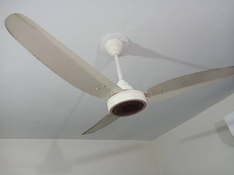 celling fan 1