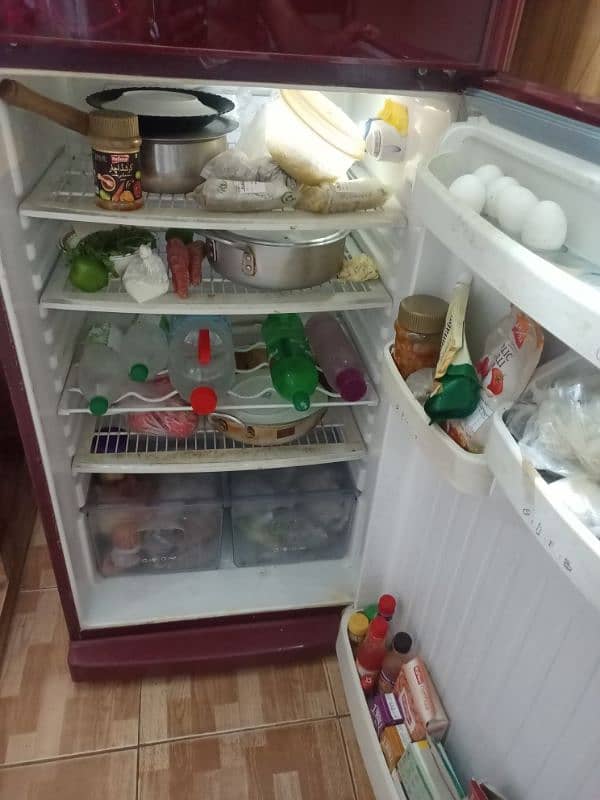 orient fridge 4