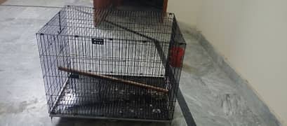 Raw parrot Cage For Sale Condition 10 by 10 hai Ugent sale