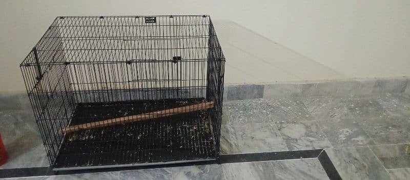 Raw parrot Cage For Sale Condition 10 by 10 hai Ugent sale 2