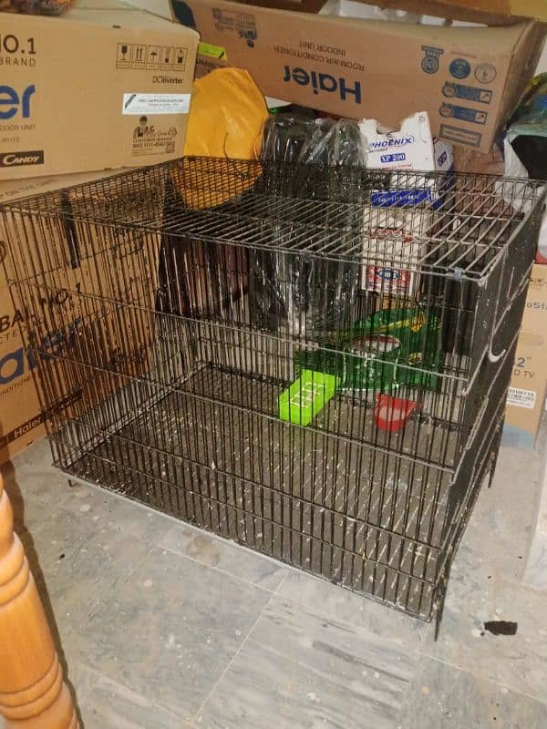 Raw parrot Cage For Sale Condition 10 by 10 hai Ugent sale 4