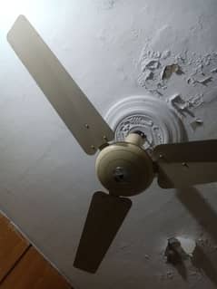 Ceiling Fan