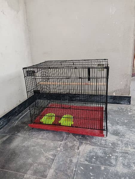 2 cages + 2 breeding box 0