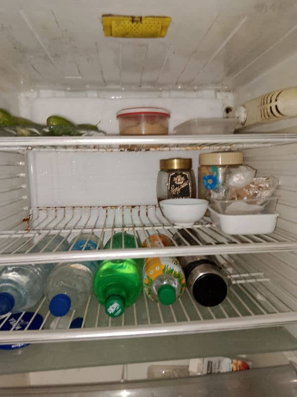 pel refrigerator 3