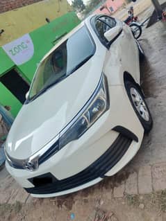 Toyota Corolla GLI 2017/2018 New Light