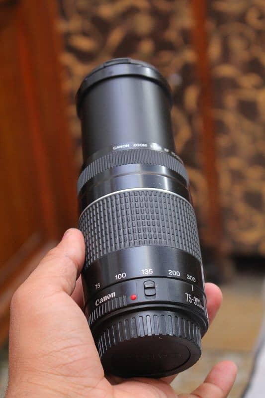 Canon 75 300 outdoor Background Bluring lens 0