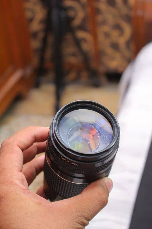 Canon 75 300 outdoor Background Bluring lens 3