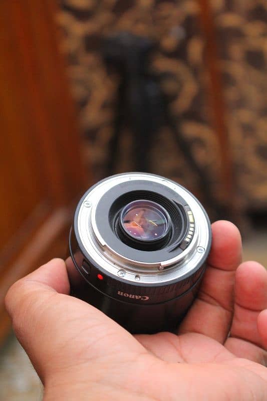 Canon 75 300 outdoor Background Bluring lens 6