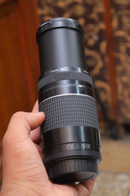 Canon 75 300 outdoor Background Bluring lens 7