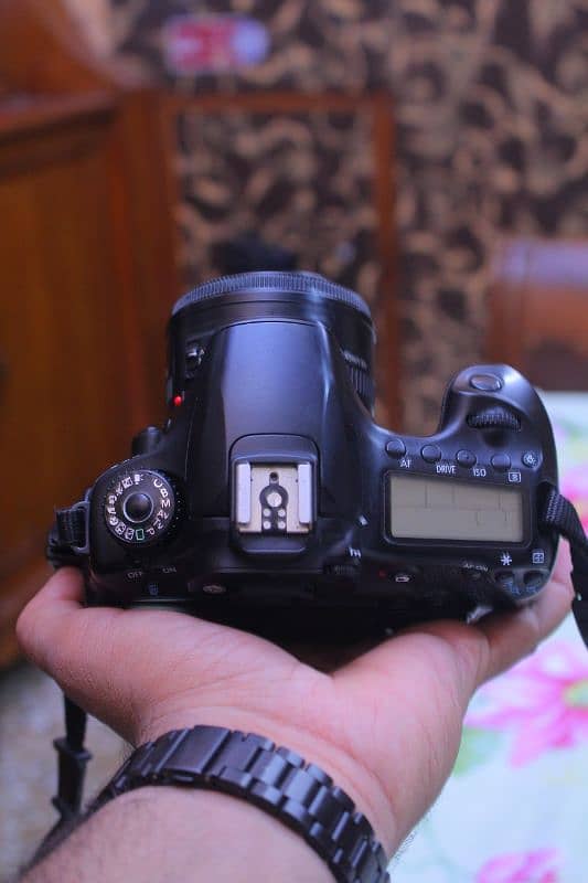 Canon 60d with 50mm 1.8 lens 5