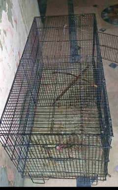 Master Folding Cage Full size