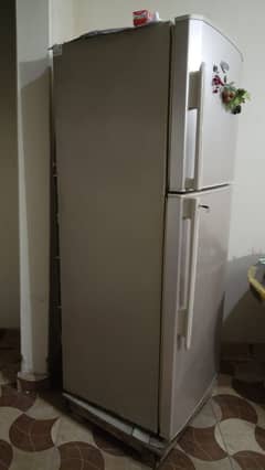 Full Size Haier Refrigerator