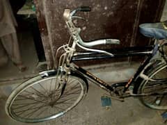 Sohrab Cycle For Sale