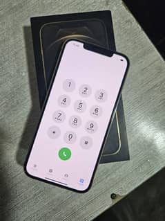 iPhone 12 Pro Max PTA Approved