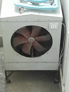 cooler for sale 1 year used