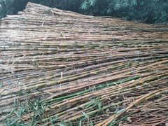 Foldable Round Bamboo Pole چھوٹی پوری والا بانس