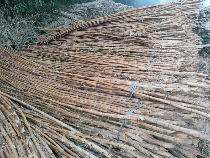 Foldable Round Bamboo Pole چھوٹی پوری والا بانس 1