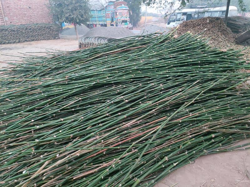 Bamboo Stick بانس کی سوٹی/چھڑی RS 8 2