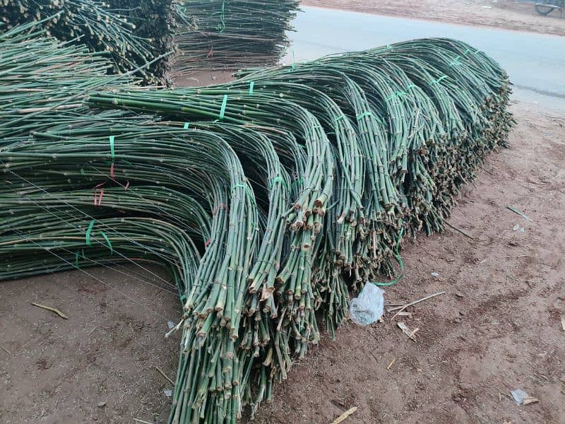 Bamboo Stick بانس کی سوٹی/چھڑی RS 8 3