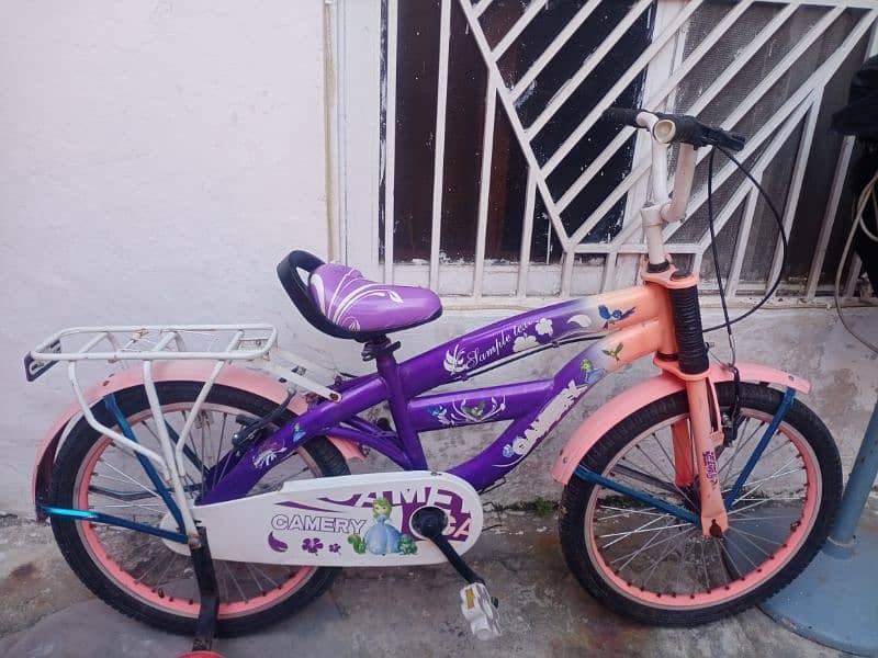 girls bicycle for age 8-10years 0