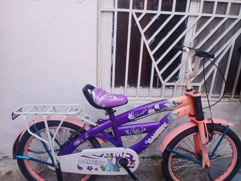 girls bicycle for age 8-10years 3