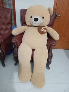 Teddy