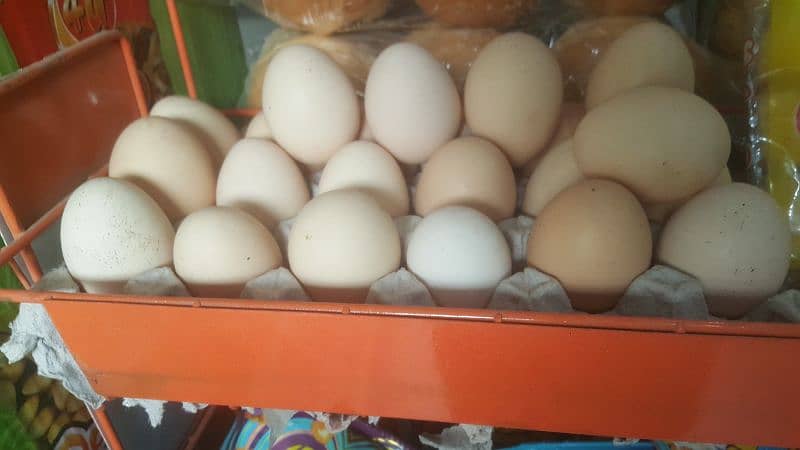 organic eggs 0