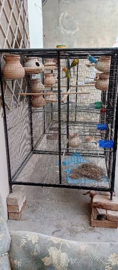 Iron cage for sale