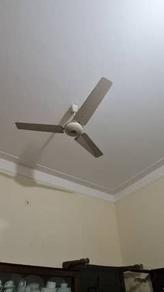 celling  Fan