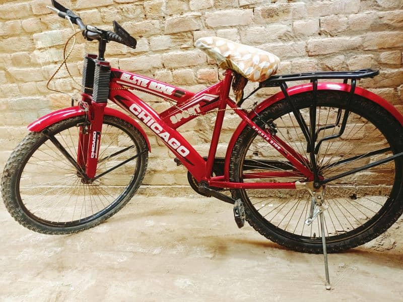 Road adult bicycle 0