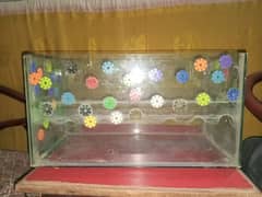 AQUARIUM FOR SALE