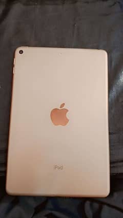 IPad mini 5