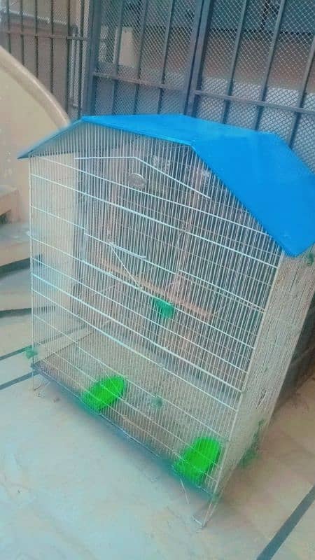 colony cage for finches 0