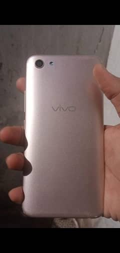 vivo