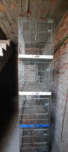 4 portion cage