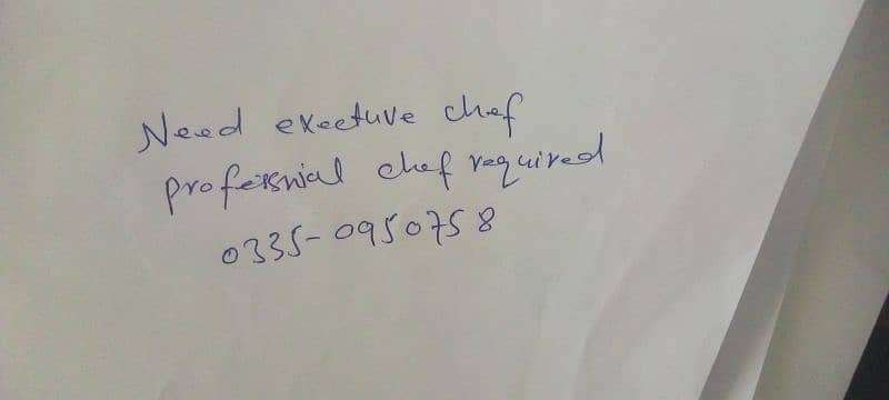 need professional chef. executive chef 0