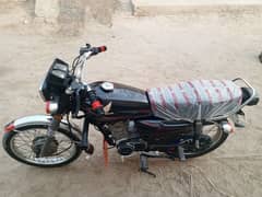 Honda 125 2019 model all Punjab number