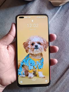 oppo Reno 4 /8/128  condition 10-bye9/contact 03014064292