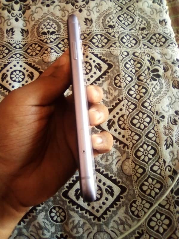 iPhone 11 non pta water pack pannel paa dot haa nicha 3