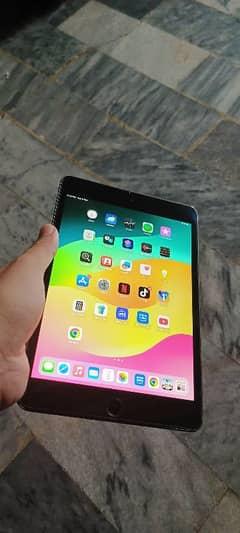 Ipad Mini 5