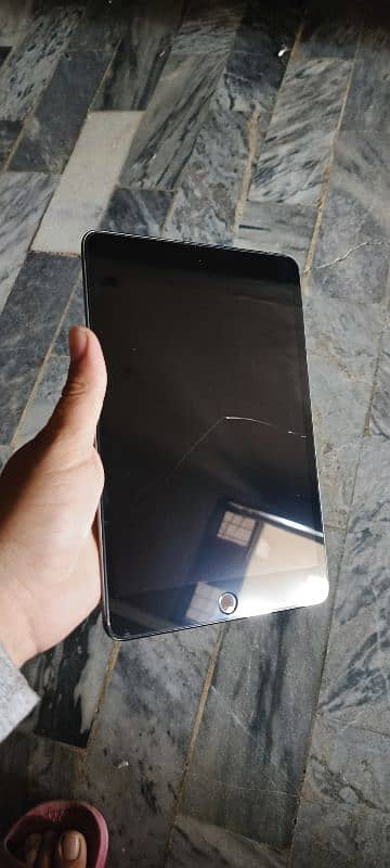 Ipad Mini 5 3