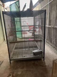 Birds Cage