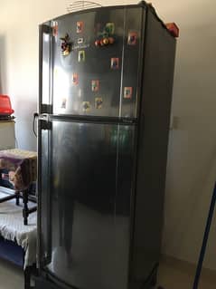 Dawlance Full Size Fridge