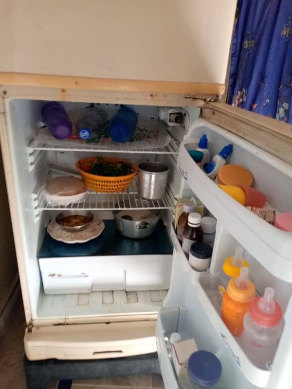 fridge 2